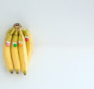 Diane alkier NBT3 LO Cdk VM unsplash