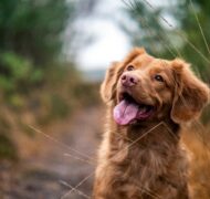 Jamie street Utr E5 Dcg Eyg unsplash