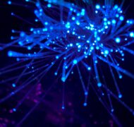 Jj ying 8bgh Kx NU1j0 unsplash