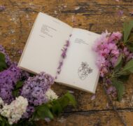 Jovan vasiljevic rz2 L Pf Ns L3 E unsplash