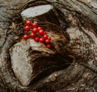 Kier in sight archives n L Ejbp Pcf0k unsplash