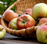 Many people find provision and even become wealthy Ybut cause great harm